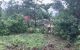 thum-7971144_ov6Ru4dEI3_1623655769.jpg