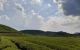 thum-7971233_J0QdNqP6Dx_1623657759.jpg