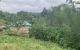thum-m_iR63QqZFXe_1623655763.jpg