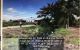 thum-m_B7XcpFbAH2_1623751459.jpg