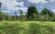 thum-m_bQgDpeCxfq_1623752133.jpg