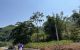 thum-7975075_5u7b1Or8hq_1623814930.jpg