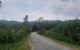 thum-7975362_WXxGQOK0Na_1623824422.jpg