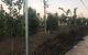 thum-7977334_PpBLigStd5_1623897690.jpeg