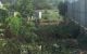 thum-7979763_CJk3Lba0oF_1623977440.jpeg