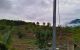 thum-7982163_pVoQq6C385_1624061488.jpg