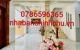 thum-7982365_ovXdfM9SKr_1624066926.jpg