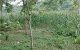 thum-7983731_9ls5AKYOeM_1624095436.jpg