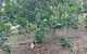 thum-7983731_HYoOZ3ytpF_1624095430.jpg