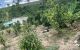 thum-7983896_J9GdQthcTm_1624104447.jpg