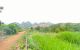 thum-m_yikU6sLMNd_1624204558.jpg