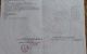 thum-7986321_UzkL9Fhund_1624245655.jpeg