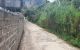 thum-7986586_wSeUIO0WCh_1624249954.jpg