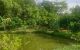 thum-7988696_mwSlGb20eu_1624333825.jpg