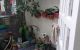 thum-7988762_zZ7Nv39jlG_1624334995.jpg