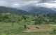 thum-7989063_LtJheMa7dR_1624344601.jpg