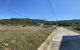 thum-7993418_76QShegy5I_1624497888.jpg