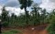 thum-7993631_Atc03vlUhI_1624502215.jpeg