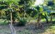 thum-7995084_udzq9L5PCX_1624528809.jpg