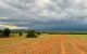 thum-m_38BRVNrhta_1624524351.jpg