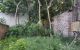 thum-m_RC3VzrLdn9_1624528457.jpg