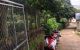 thum-m_LnNeMYgZzO_1624617246.jpg