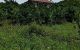 thum-8000000_4tRJX15sWC_1624719900.jpg