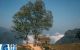 thum-m_7j0E9riGen_1624677512.jpg