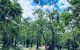 thum-8012110_w8fnzZlx2M_1625207238.jpg