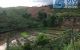 thum-8012128_QOUDwSIrAm_1625208031.jpg
