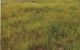 thum-8012548_6YUKAiOPQ7_1625216464.jpg