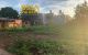 thum-m_JXmxCuvgQl_1625213584.jpg