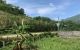 thum-8014081_7OXwCHgSe3_1625284363.jpg