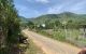 thum-m_TneSKAE79J_1625284358.jpg