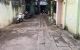 thum-m_sOQRo49207_1625329699.jpg