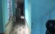 thum-8015826_C8Mne3RIrS_1625373235.jpg