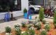 thum-8016978_uQNUM0DvKF_1625453764.jpg