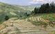 thum-8017760_TlBY5F4yKg_1625470601.jpg