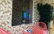thum-8017790_t2LU6mBZOx_1625471230.jpg