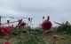 thum-8017970_mKyQASjpsb_1625474590.jpg