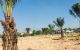 thum-8018280_yEW5ruQRcs_1625482494.jpg