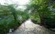 thum-m_uaGEoy9Yj2_1625473099.jpg