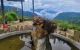 thum-8019595_OPV60JvTs9_1625543957.jpg