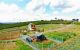 thum-8021340_8EagR4eoq2_1625622434.jpg