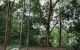 thum-8021844_aGsWT1eXfk_1625631177.jpg