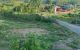 thum-8022430_OU2qmKEg6D_1625645403.jpg