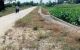 thum-m_AmrKI2lONX_1625735357.jpg