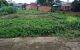 thum-8026439_9HbQzSv1h0_1625819162.jpg
