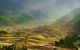 thum-8028140_U91s57gCYV_1625890283.jpg