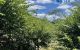 thum-8028333_oWV7Hdaw0h_1625902052.jpg